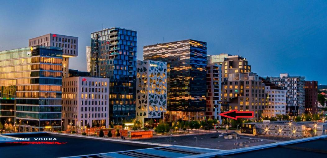 Spacious Modern 3Br Apartment At Central Oslo Barcode Екстериор снимка